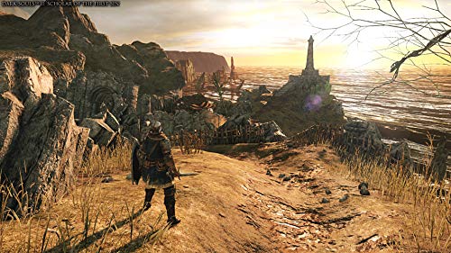 Dark Souls Trilogy pour PlayStation 4 - PlayStation 4 [Importación francesa]