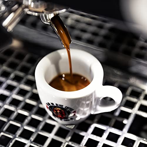 DEAD OR ALIVE Granos de Café Espresso NR3 - Mezcla Italiana Extra Fuerte de Tostado Lento - Pura Robusta, la Mejor Crema - Gourmet, Tostado Intenso Vegano - Amantes de Java - Paquete de 1000g