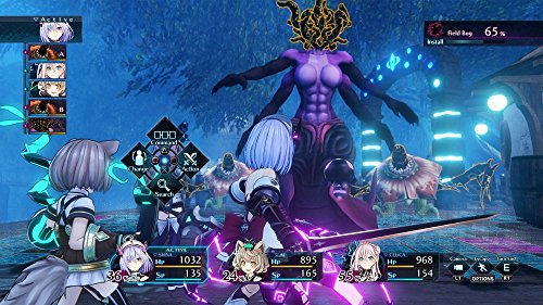 Death End Re;quest [video game]