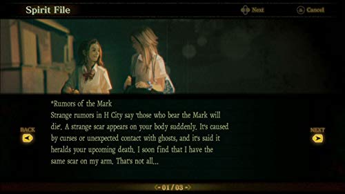 Death Mark - PlayStation 4 [Importación inglesa]