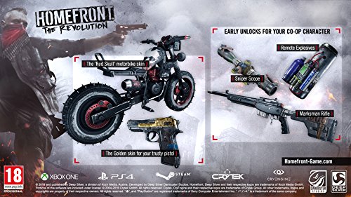 Deep Silver Homefront: The Revolution, PS4 - Juego (PS4)