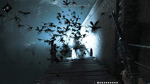 Deep Silver Hunt: Showdown, PS4 vídeo Juego Playstation 4 Básico Inglés - Deep Silver Hunt: Showdown, PS4, Playstation 4, Tirador/Horror, Modo multijugador, M (Maduro)