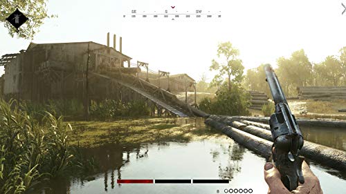 Deep Silver Hunt: Showdown, PS4 vídeo Juego Playstation 4 Básico Inglés - Deep Silver Hunt: Showdown, PS4, Playstation 4, Tirador/Horror, Modo multijugador, M (Maduro)