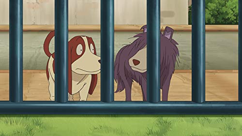 Detektei Layton - Katrielles rätselhafte Fälle: Volume 5 (E.41-50) [Alemania] [Blu-ray]