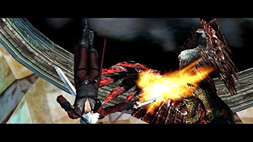 Devil May Cry Hd Collection [video game]