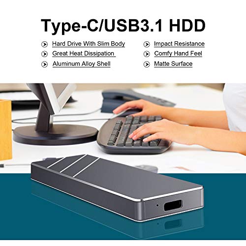 Disco Duro 1 TB Externo, Disco Duro Externo USB3.1 Type C Portable HDD para PC, Xbox One, Desktop, Laptop（1TB,Plata