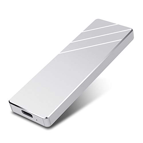 Disco Duro 1 TB Externo, Disco Duro Externo USB3.1 Type C Portable HDD para PC, Xbox One, Desktop, Laptop（1TB,Plata