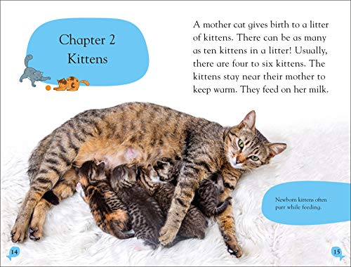 DK Reader Level 2: Cats and Kittens (DK Readers Level 2)