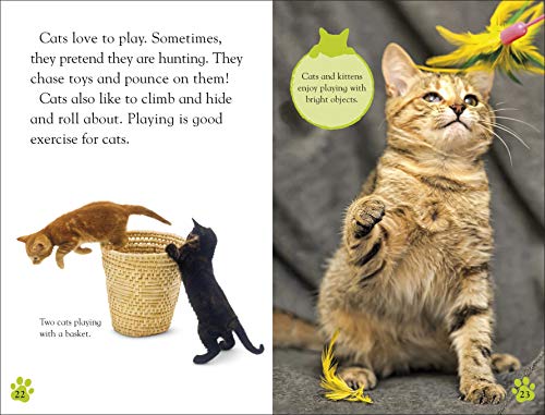 DK Reader Level 2: Cats and Kittens (DK Readers Level 2)