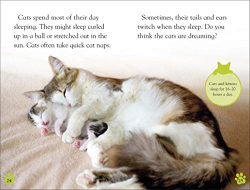 DK Reader Level 2: Cats and Kittens (DK Readers Level 2)