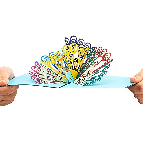 DKE-EU 1 Pieza Tarjeta Emergente 3D Tarjeta de Pavo Real Tarjeta de Cumpleaños 3D Invitación de Boda con Sobre Adecuada para Invitación Gracias Y Bendiciones (13 * 15,5 cm)