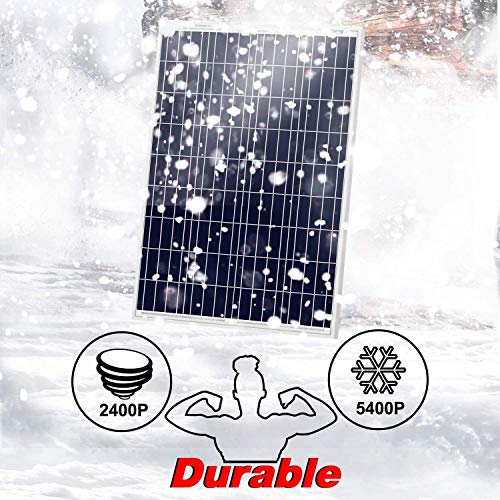 DOKIO Panel Solar 100W Polykristallin 12V Módulo solar con Controlador para casas jardines caravanas bombas