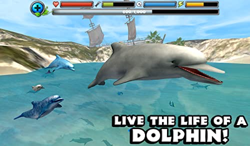Dolphin Simulator