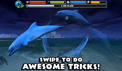 Dolphin Simulator