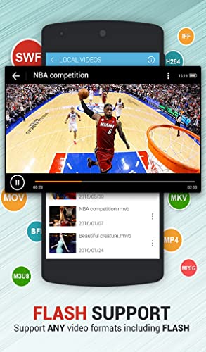 Dolphin Video - Flash Player
