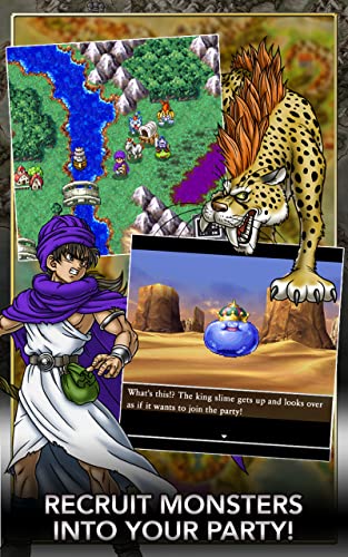 DRAGON QUEST V