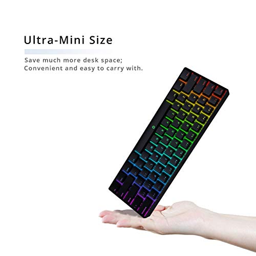 DREVO Seer MAX RGB Mini Teclado mecánico Bluetooth 5.1 y 2.4G de 61 Teclas, alámbrico e inalámbrico, Compatible con el Sistema operativo Windows/Mac,US Layout. (Gateron Azul Switch, Negro)