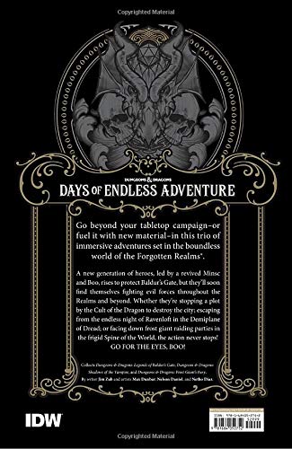 Dungeons & Dragons: Days of Endless Adventure (DUNGEONS & DRAGONS Baldur's Gate)