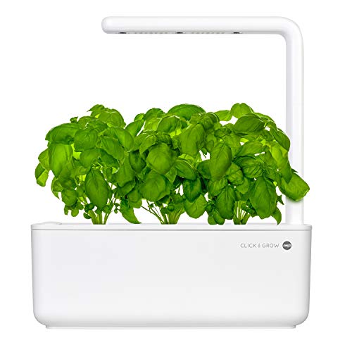 Emsa M5260900 Cápsula de sustrato Click and Grow Basil, paquete de recarga para Smart Garden, juego de 3