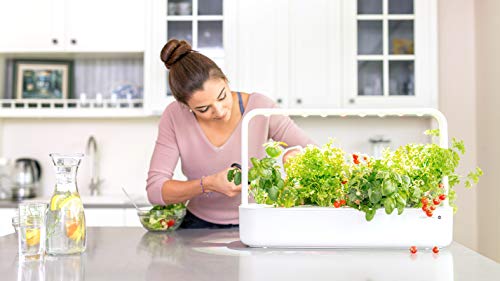 Emsa M5261200 Cebolleta de sustrato Click and Grow, paquete de recarga para Smart Garden, juego de 3