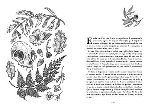 En mi bosque interior: Un reencuentro con la espiritualidad natural en la vida moderna (Bruguera Tendencias)