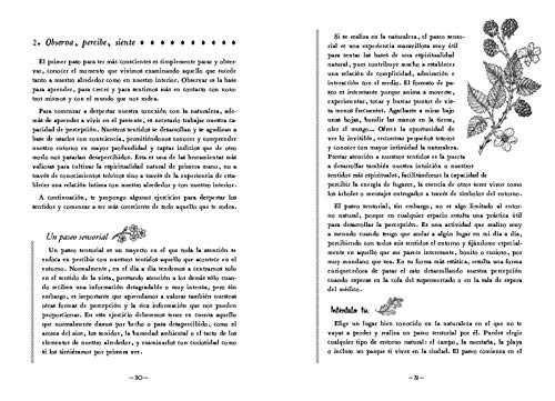 En mi bosque interior: Un reencuentro con la espiritualidad natural en la vida moderna (Bruguera Tendencias)