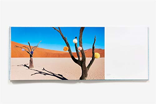 Escape [Idioma Inglés]