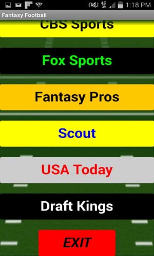 Fantasy Football 2017