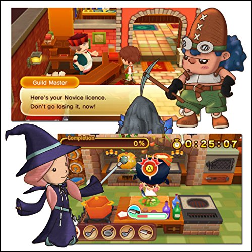 Fantasy Life [Importación Inglesa]