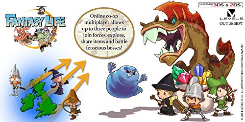 Fantasy Life [Importación Inglesa]