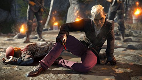 Far Cry 4 - Essentials [Importación Francesa]