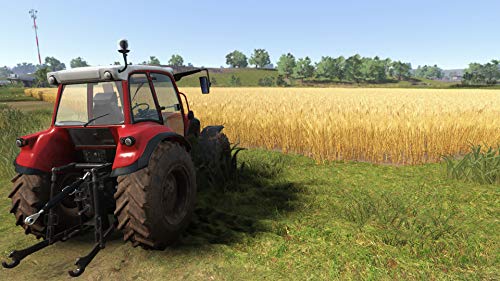 Farmer's Dynasty - PlayStation 4 [Importación italiana]