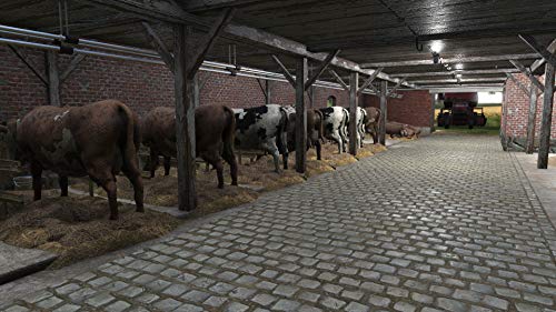 Farmer's Dynasty - Xbox One [Importación italiana]