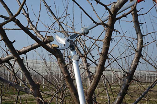 FELCO 11510062 11510062-Bypass-p.2man-40mm-mult 220-80, Rosso