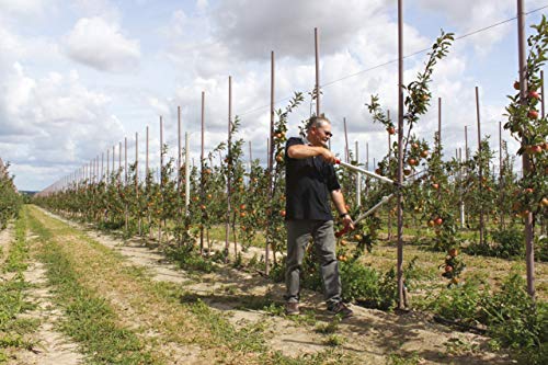 FELCO 11510062 11510062-Bypass-p.2man-40mm-mult 220-80, Rosso