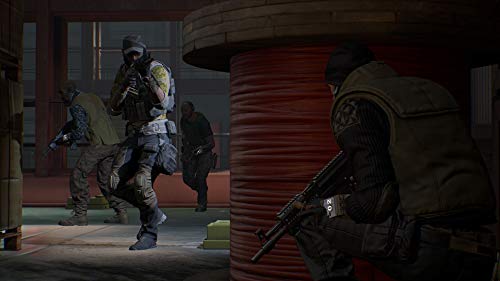 Firewall Zero Hour - PlayStation 4 [Importación italiana]