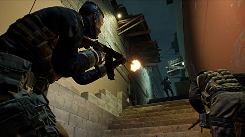 Firewall Zero Hour - PlayStation 4 [Importación italiana]