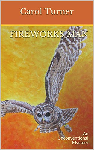 Fireworks Man: An Unconventional Mystery (English Edition)