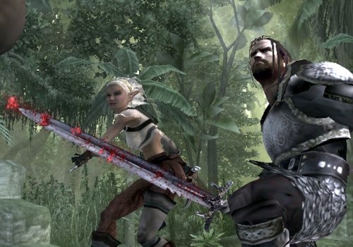 Forgotten Realms : Demon Stone