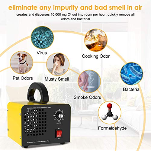 Generador de Ozono Hogar 10,000mg/H, QUARED Profesional Máquina de Ozono Para Coche Desinfectador de Ozono Purificador Ozono de Aire con Temporizador, Eliminaciónn de Olor y Desinfección