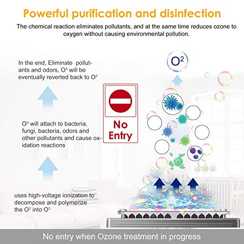 Generador de Ozono Hogar 10,000mg/H, QUARED Profesional Máquina de Ozono Para Coche Desinfectador de Ozono Purificador Ozono de Aire con Temporizador, Eliminaciónn de Olor y Desinfección