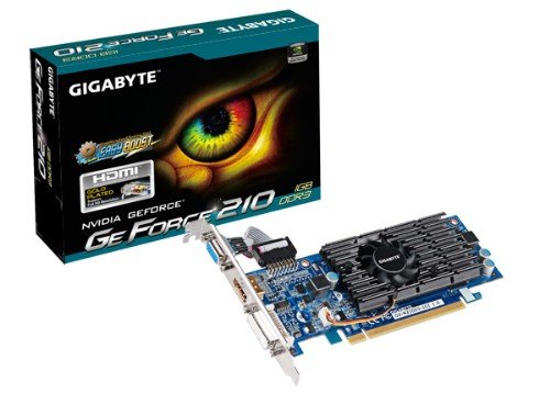 Gigabyte N210D3 - Tarjeta gráfica (1 GB)
