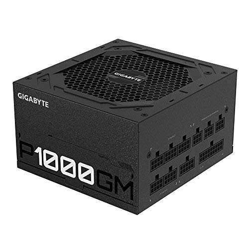 GIGABYTE P1000gm Unidad De Fuente De Alimentación 1000 W 20+4 Pin ATX Negro, Color Multi