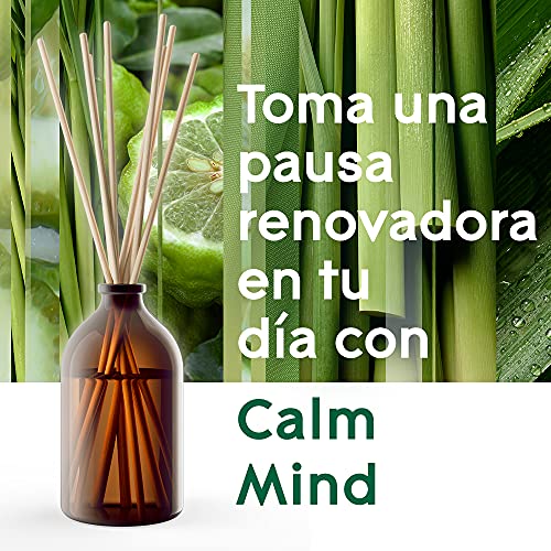 Glade Aromatherapy Varillas Fragancia Calm Mind, Líquido Con Aceites Esenciales, color Incoloro, 80 ml