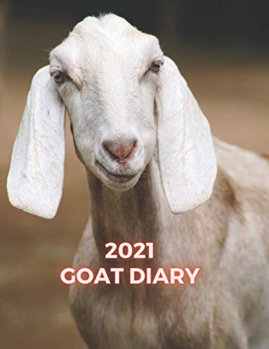 goat diary 2021: 2021 goat diary, 2021 goat calendar, 2021 goat planner, one a4 page is one day, personal goat diary, goat notebook, business planner, goat journal, 2021 goat diary day to page