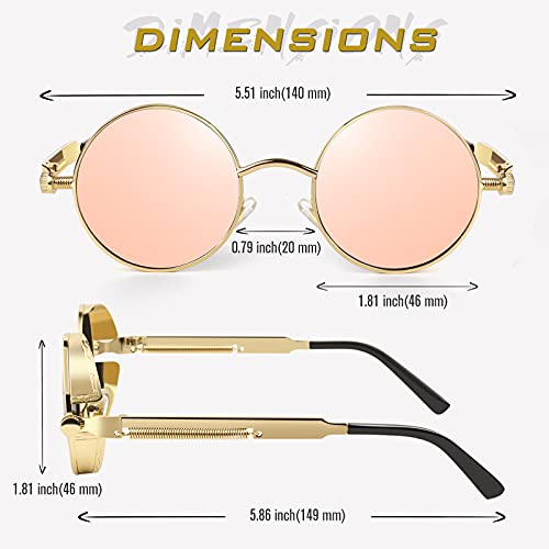 GQUEEN Steampunk redonda Retro Metálico gafas de sol polarizadas para hombres y mujeres con protección UV400 MTS2