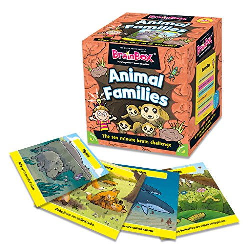 Green Board Games Brainbox Animal Families