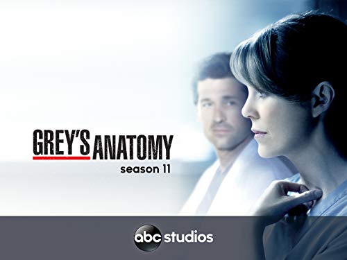 Grey's Anatomy (Yr 11 2014/2015)