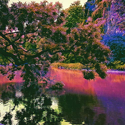 Guy Fieri Looks Like a Stereotypical American Character in an Obscure Japanese Arcade Fighting Game