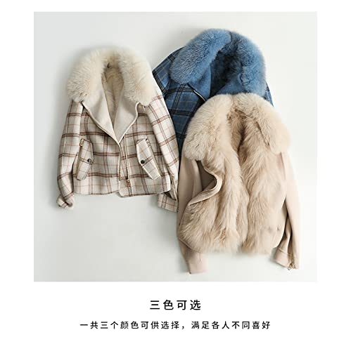 HANTONGHAO Pastel de forro de piel de zorro desmontable de otoño e invierno para superar la chaqueta de piel de cachemira de doble cara de moda corta para mujer - 2, S